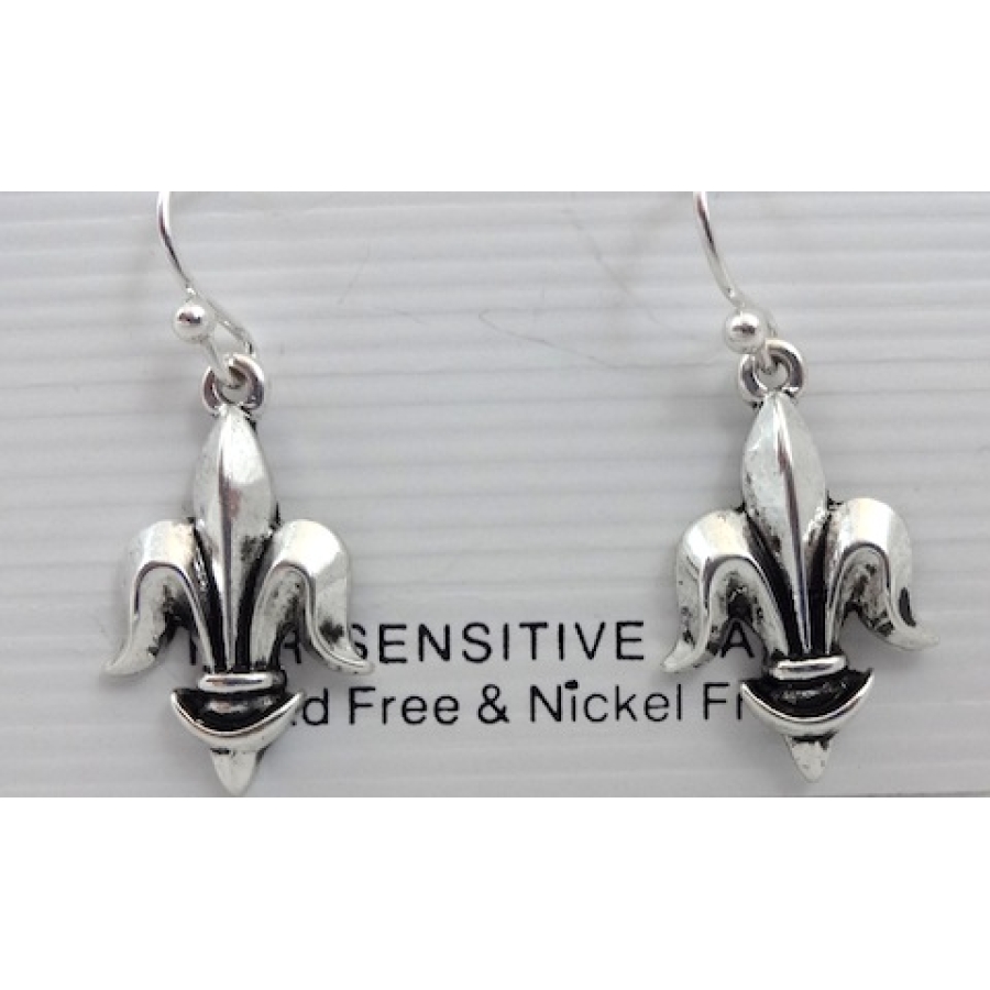 FDL Silver Earrings