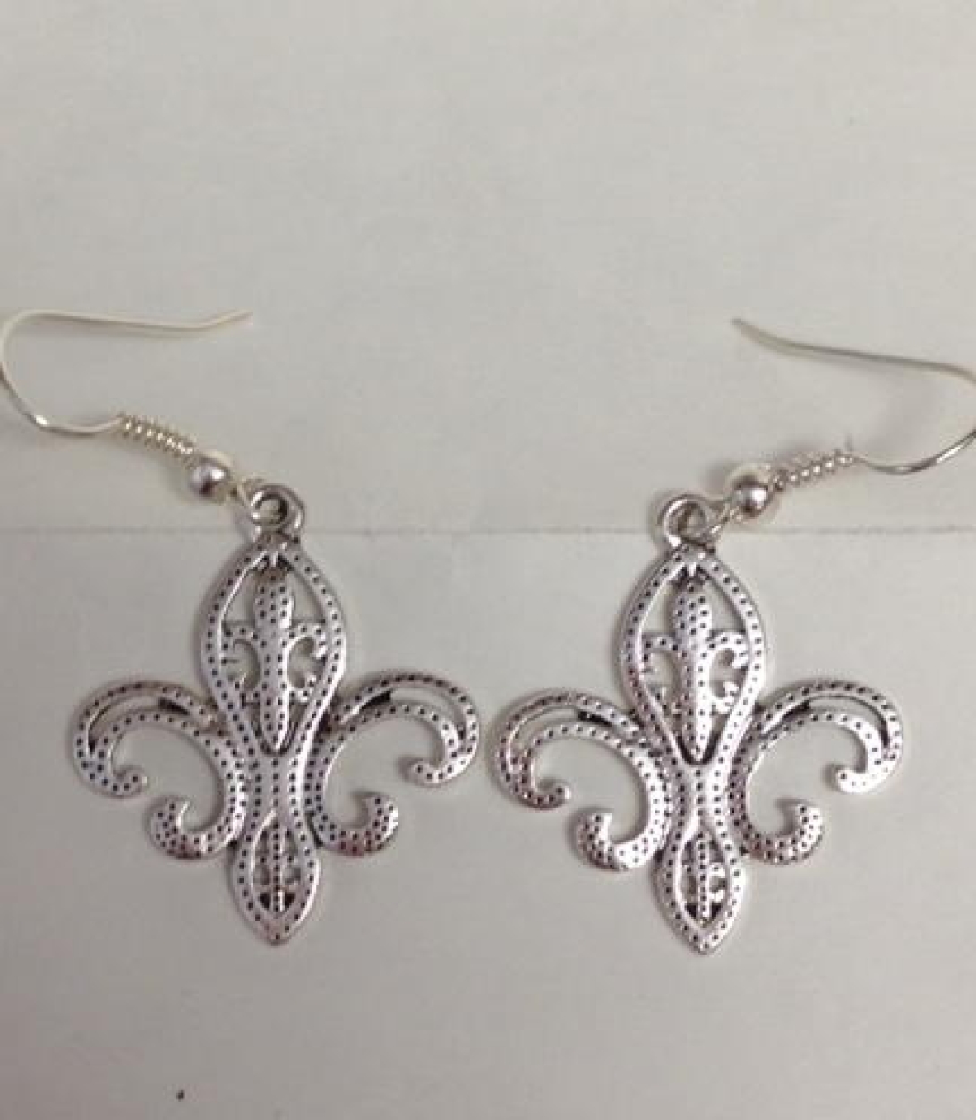 FDL Small Silver Earrings - EFHSISM