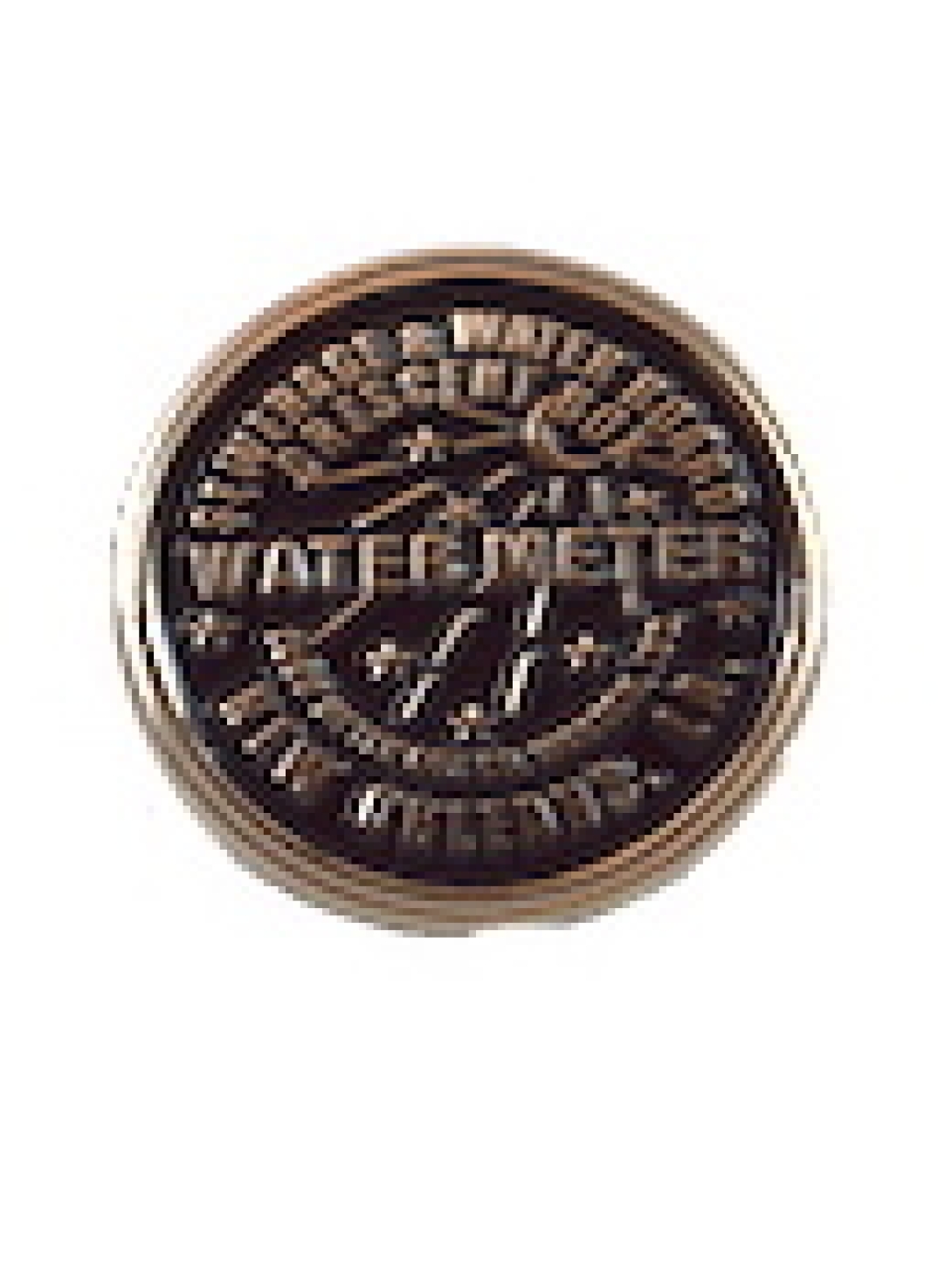 Water Meter Hat Pin